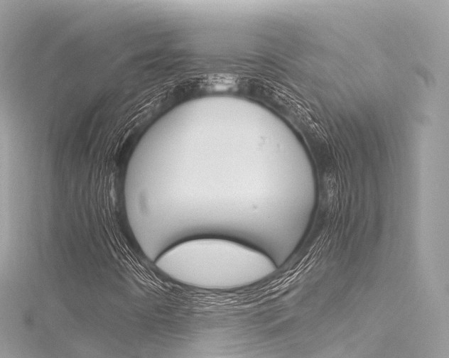 X0000116311442200911301025