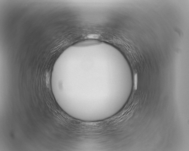 X0000116311443200911301025