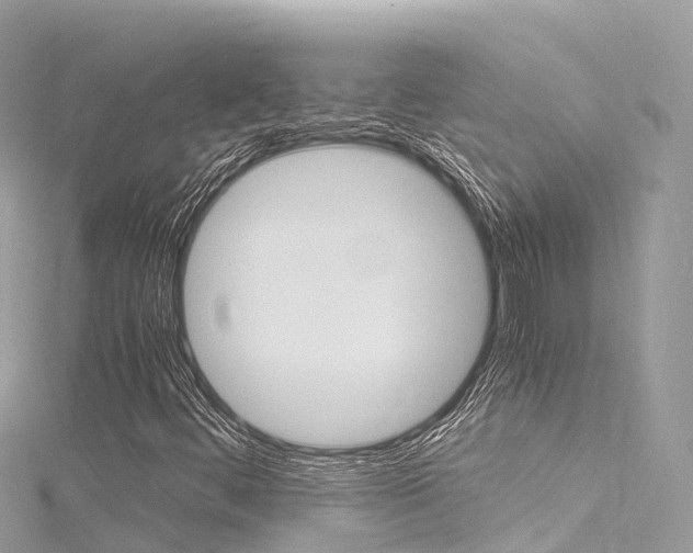 X0000116311444200911301025