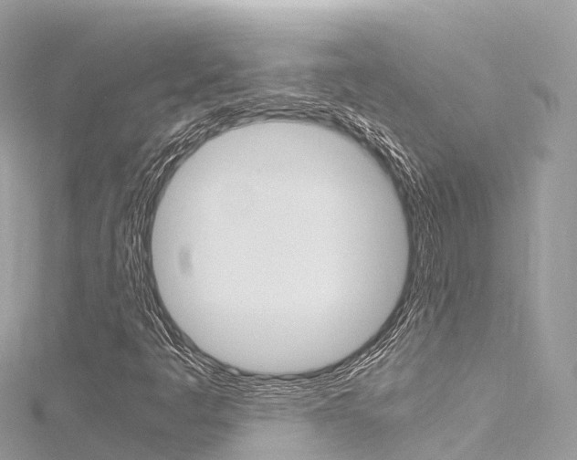 X0000116311445200911301025