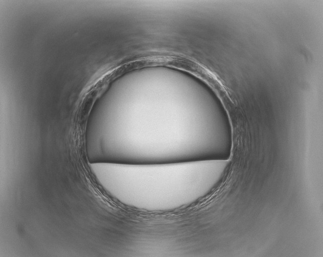 X0000116311448200911301025