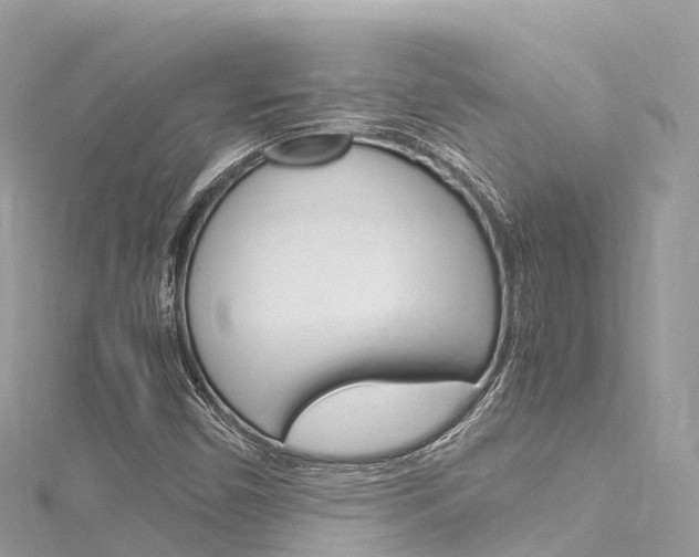 X0000116311450200911301025