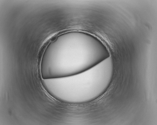 X0000116311452200911301025