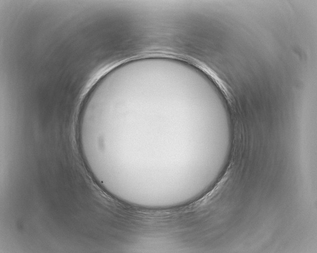 X0000116311461200911301025