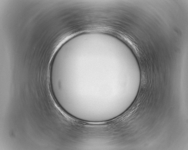 X0000116311487200911301025