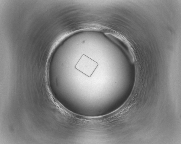 X0000116311488200911301025