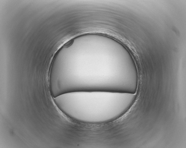 X0000116311521200911301025
