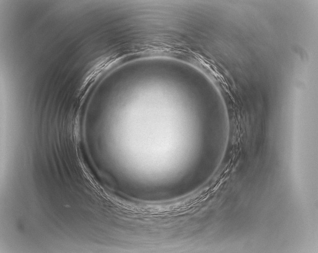 X0000116310002200911301513