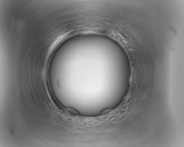 X0000116310003200911301513