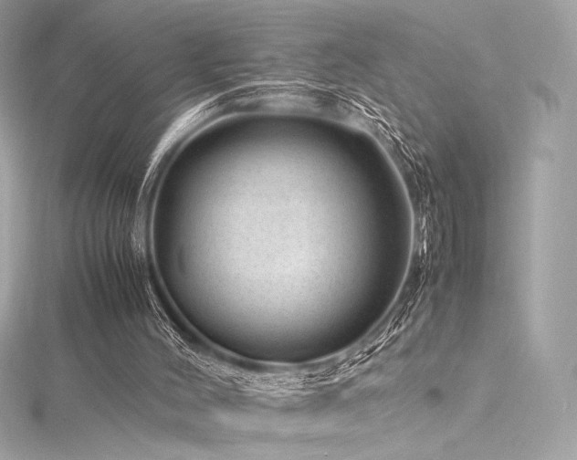 X0000116310004200911301513