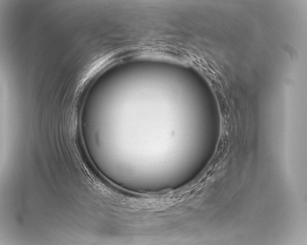 X0000116310005200911301513