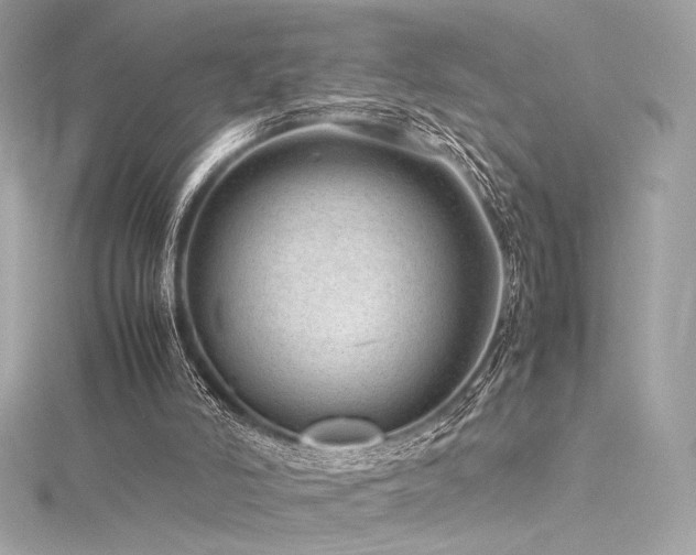 X0000116310006200911301513