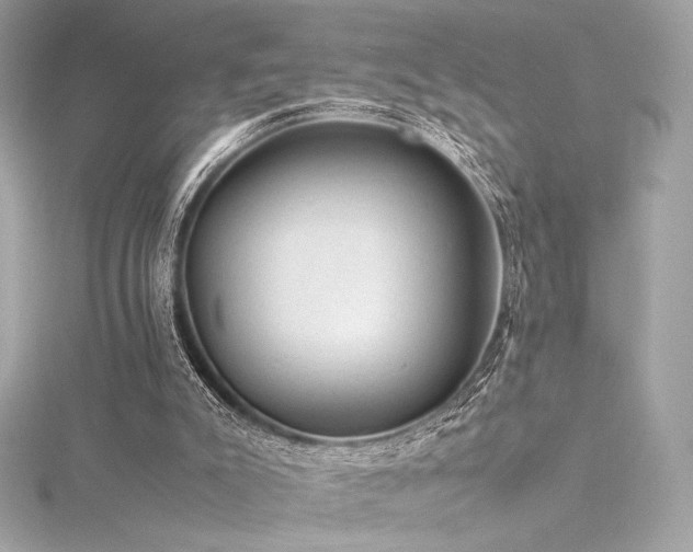 X0000116310007200911301513