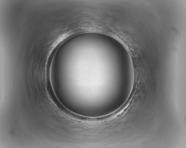 X0000116310008200911301513