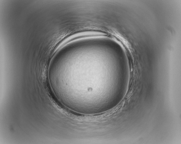 X0000116310009200911301513