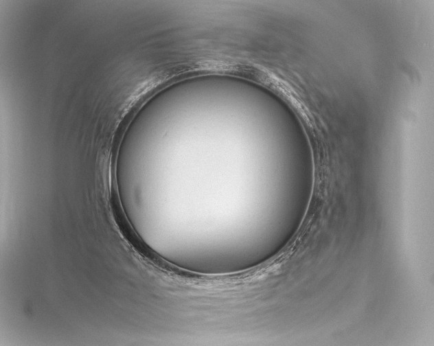 X0000116310011200911301513