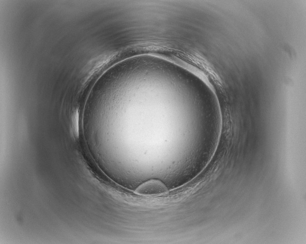 X0000116310014200911301513