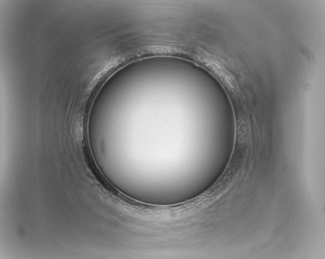 X0000116310015200911301513