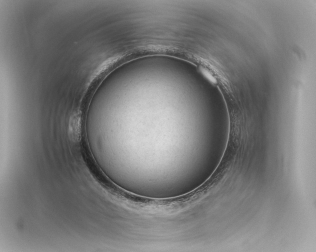 X0000116310016200911301512