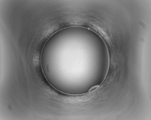 X0000116310017200911301512