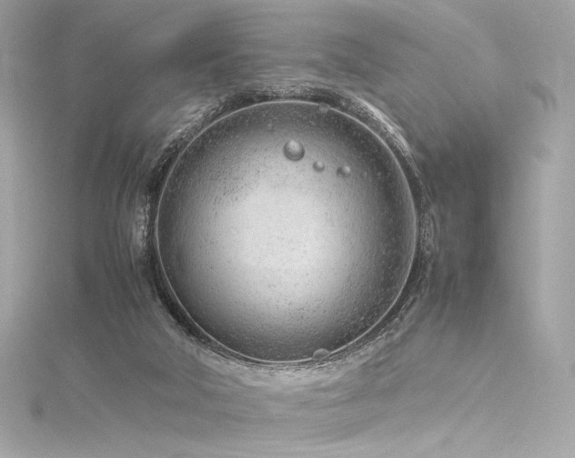 X0000116310018200911301512