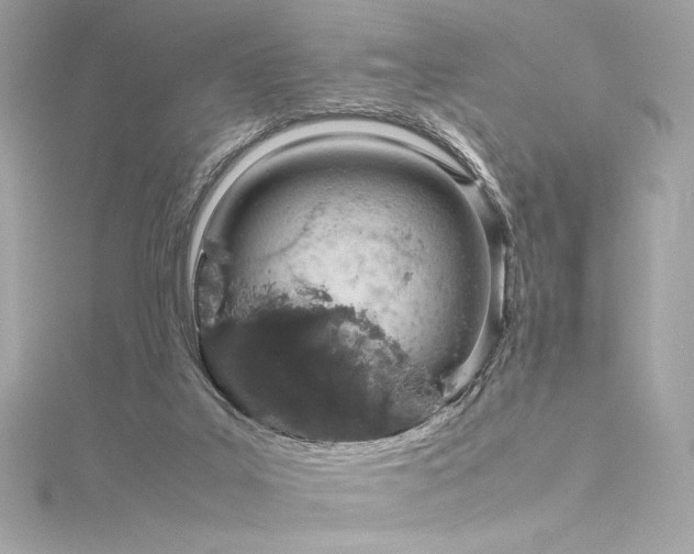 X0000116310019200911301512