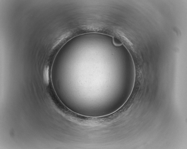 X0000116310020200911301512