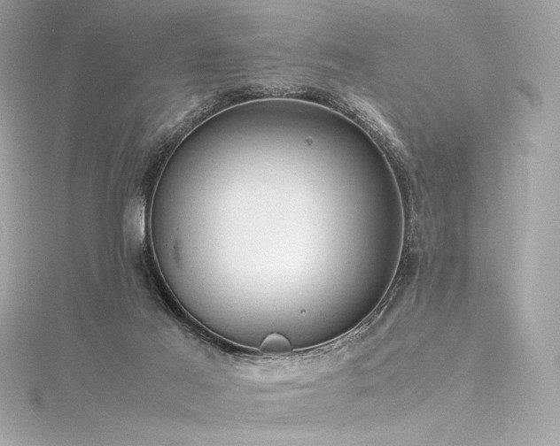 X0000116310021200911301512