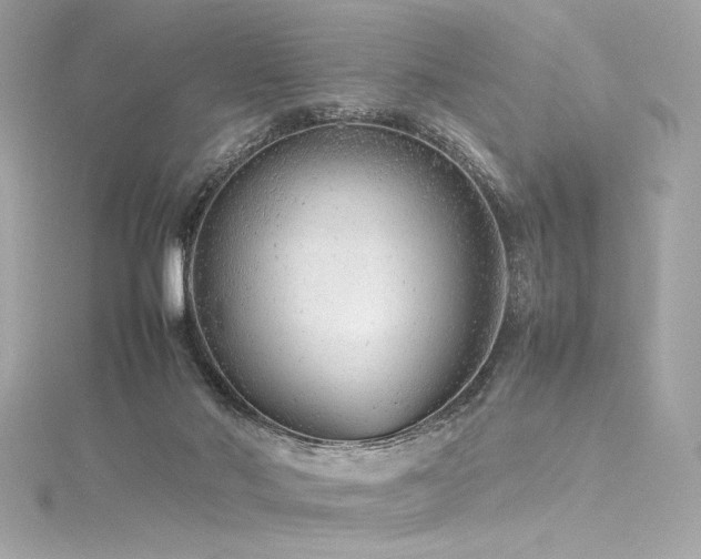 X0000116310022200911301512