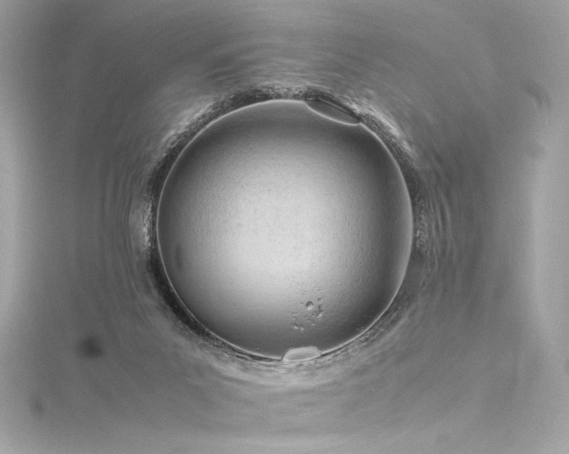 X0000116310023200911301512