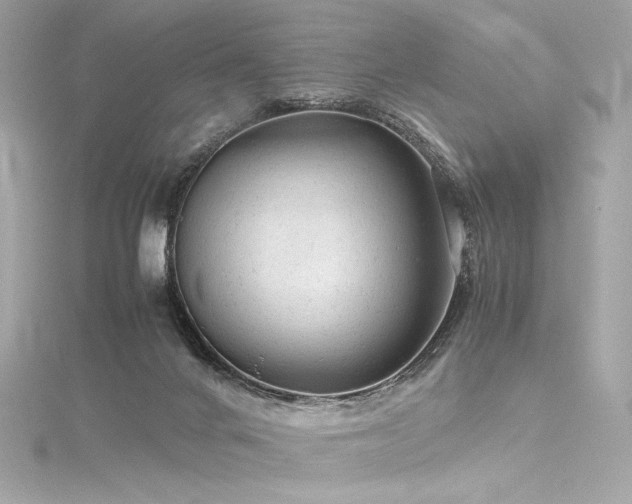 X0000116310024200911301512