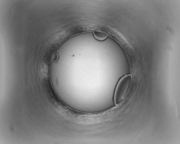 X0000116310025200911301512