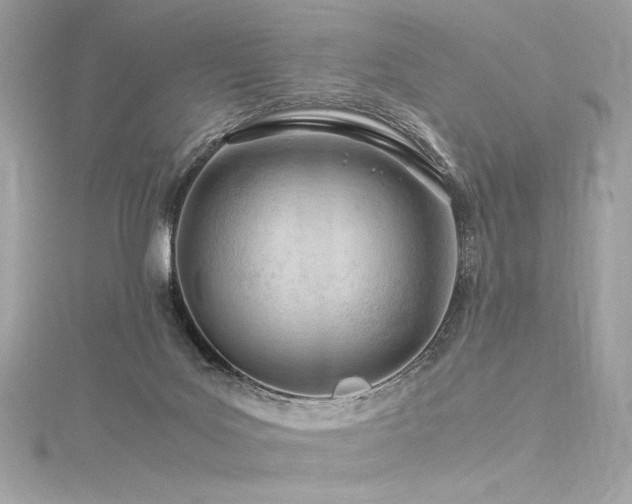 X0000116310027200911301512