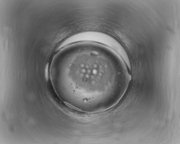 X0000116310028200911301512