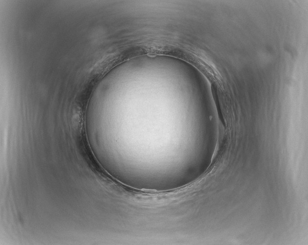 X0000116310029200911301512