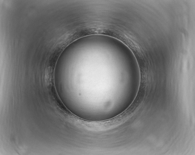 X0000116310030200911301512