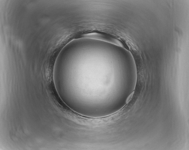 X0000116310031200911301512