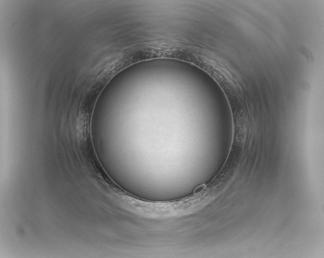 X0000116310034200911301512