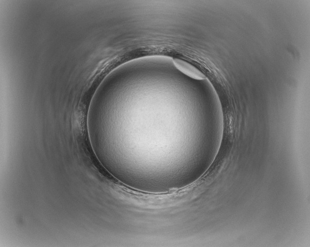 X0000116310035200911301512