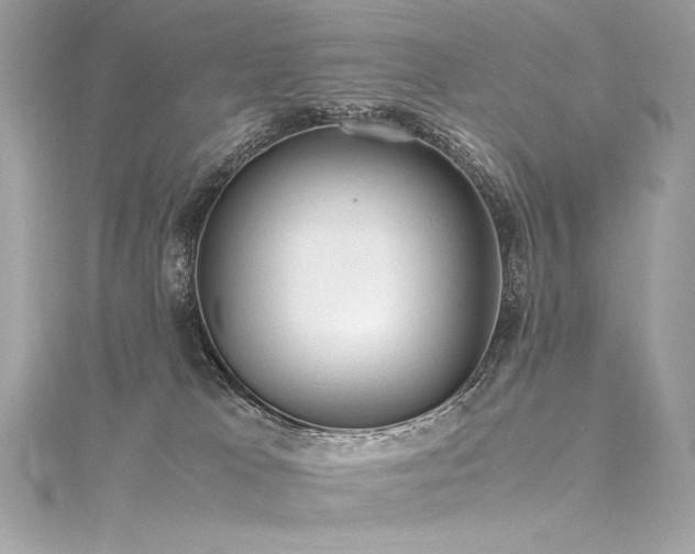 X0000116310037200911301512