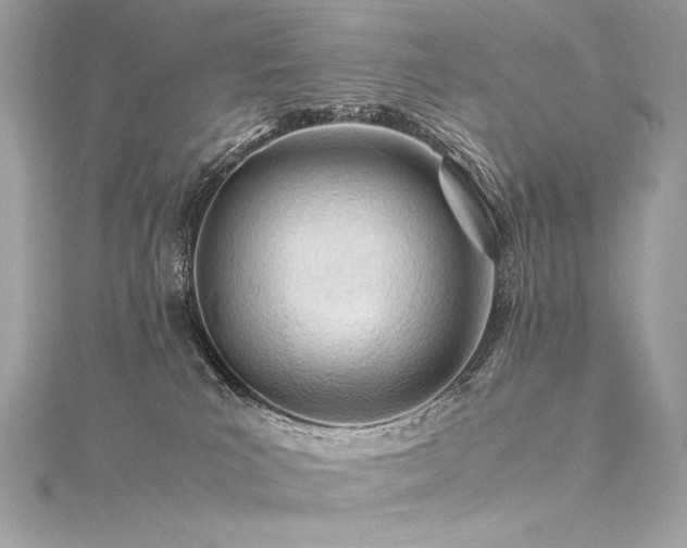 X0000116310039200911301512