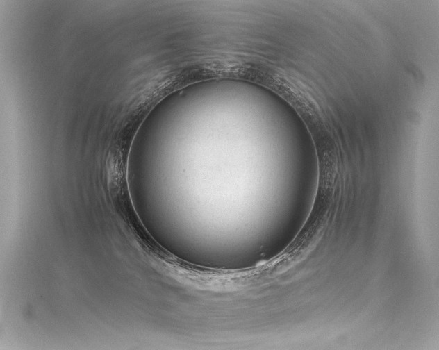 X0000116310040200911301512