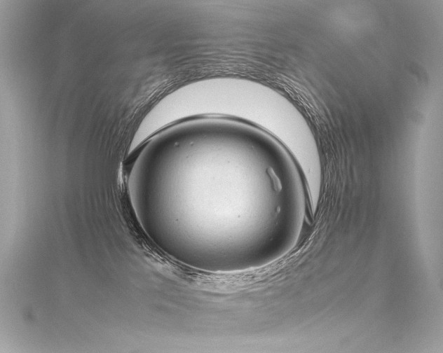 X0000116310041200911301512