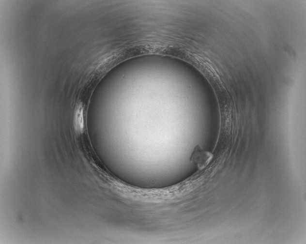 X0000116310042200911301512