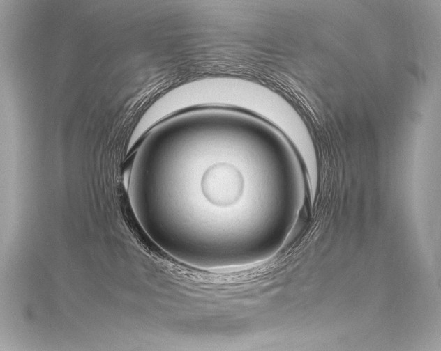 X0000116310043200911301512