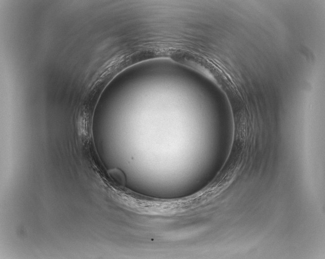 X0000116310044200911301512