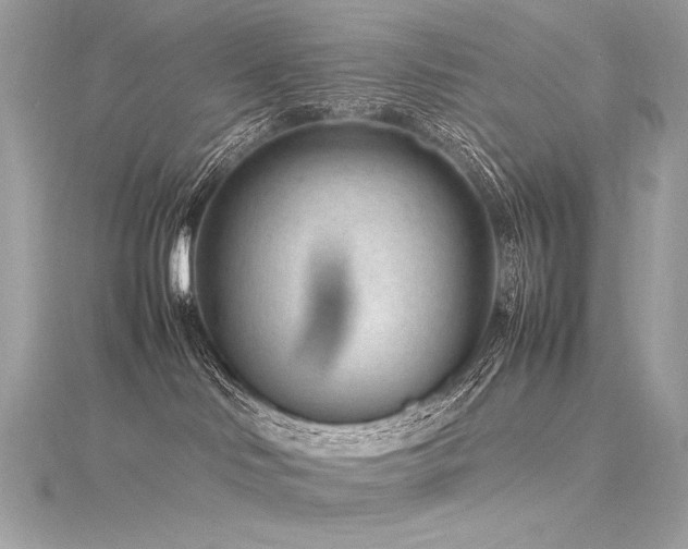 X0000116310046200911301512