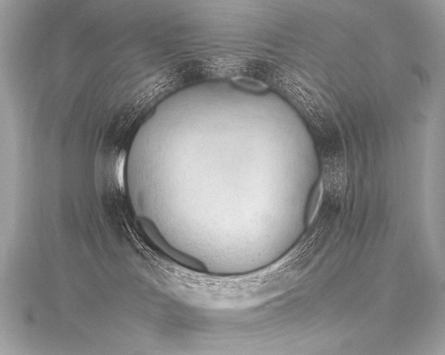 X0000116310047200911301512