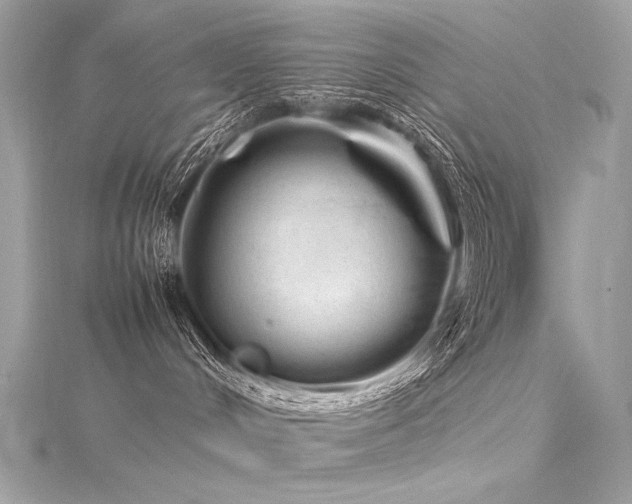 X0000116310048200911301512