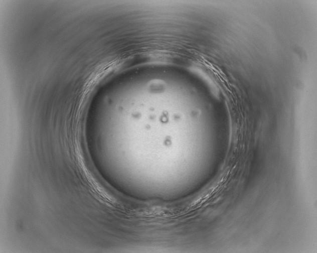 X0000116310049200911301511